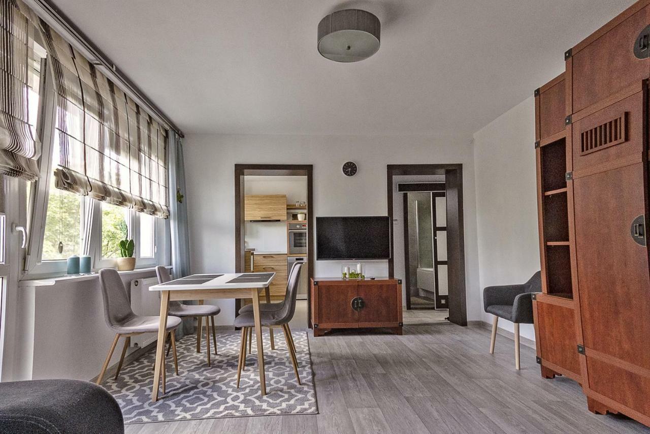 Apartament Dwupokojowy Poznan- Blisko Centrum